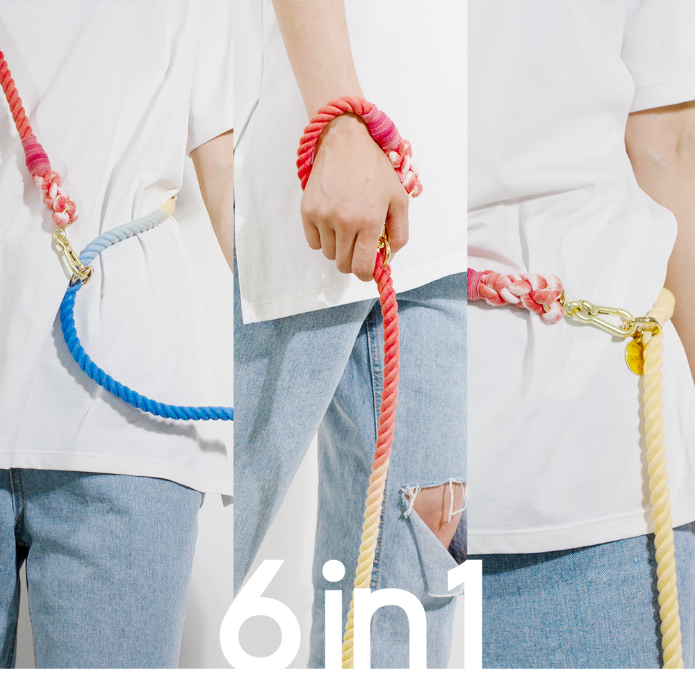 Dog Rainbow 6 in 1 Rope Dog Leash How to use hands-free walking with both hands